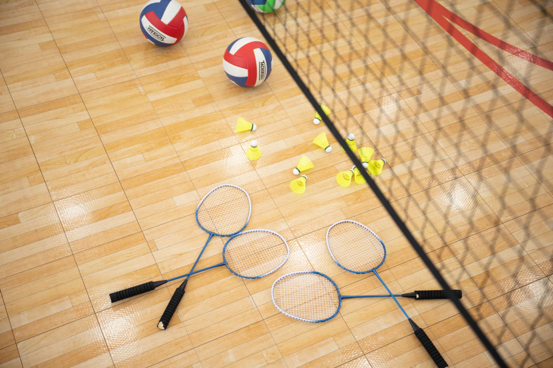 Volleyball & Badminton